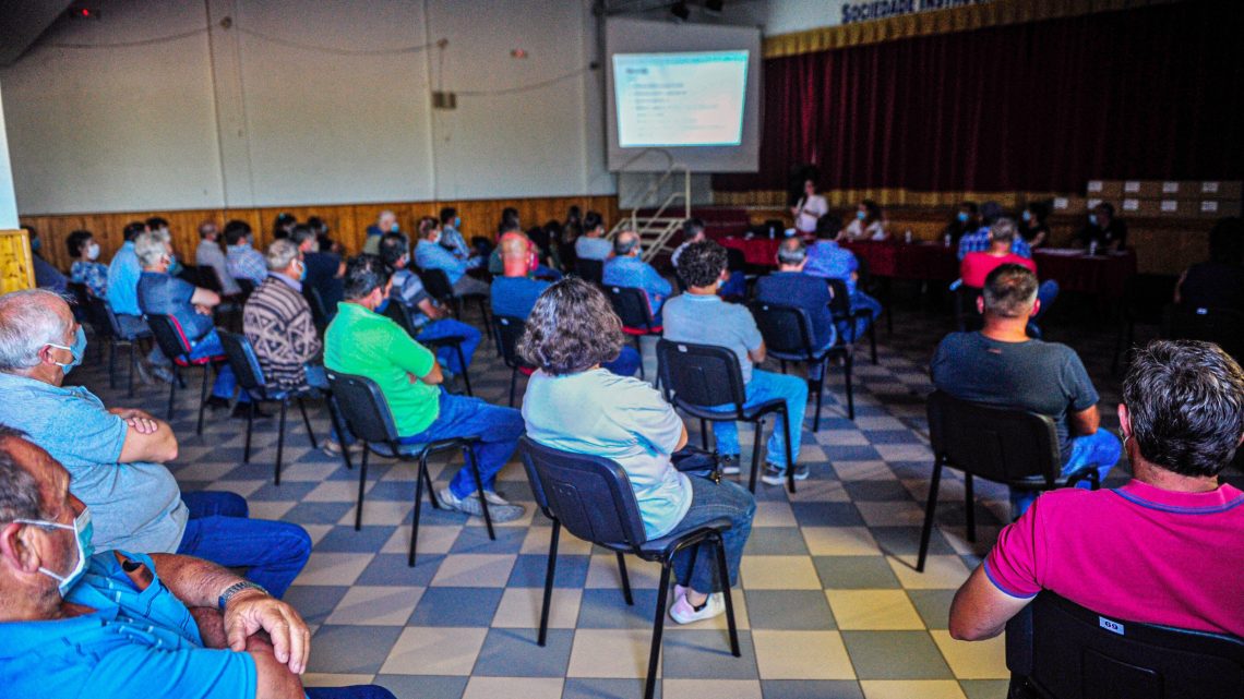 Caldas da Rainha | -19: ações de informação e sensibilização para produtores agrícolas