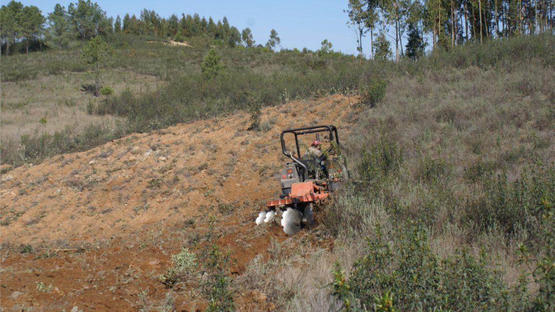 Proença-a-Nova | Governo lança programa “Emparcelar para ordenar”