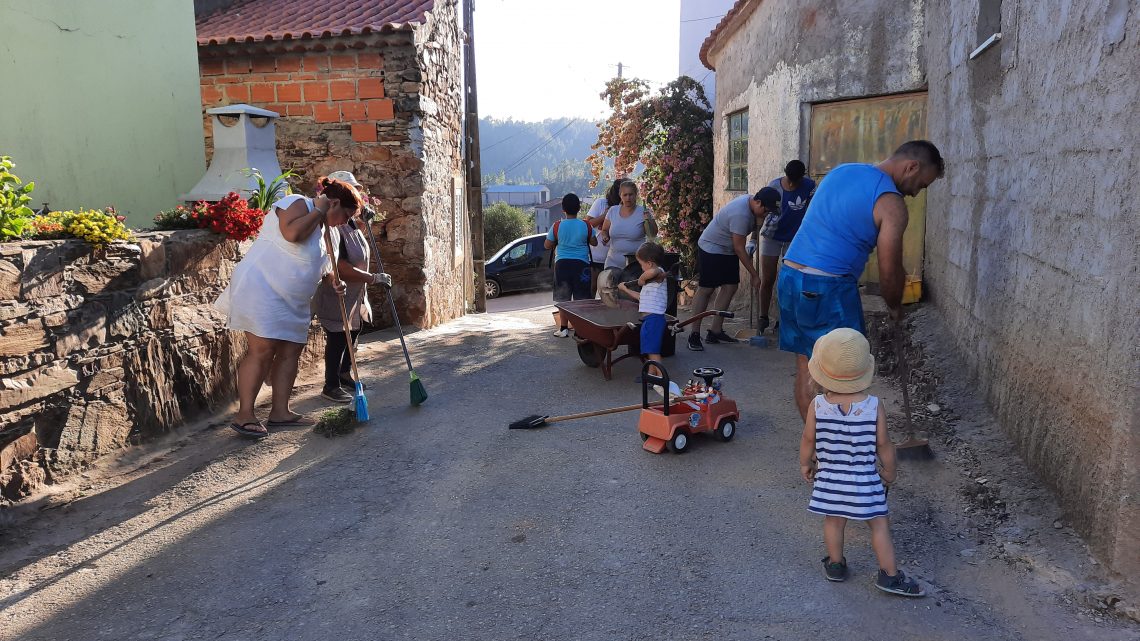 Proença-a-Nova | Habitantes de Sobral Fernando limpam ruas e plantam flores