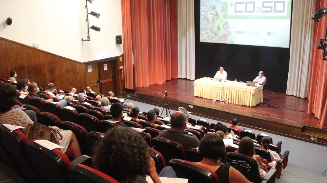 Proença-a-Nova | Programa +CO3SO apoia emprego e empreendedorismo no interior