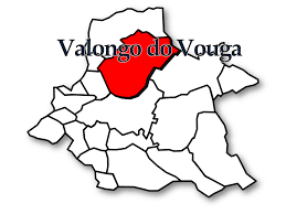 Limite de freguesias entre Valongo do Vouga e Trofa, Segadães e Lamas do Vouga em discussão pública
