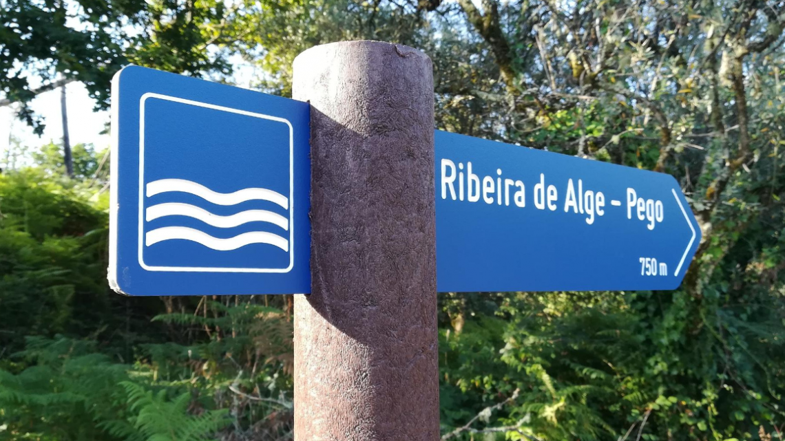 Novos trilhos pedestres em Figueiró dos Vinhos dinamizam território