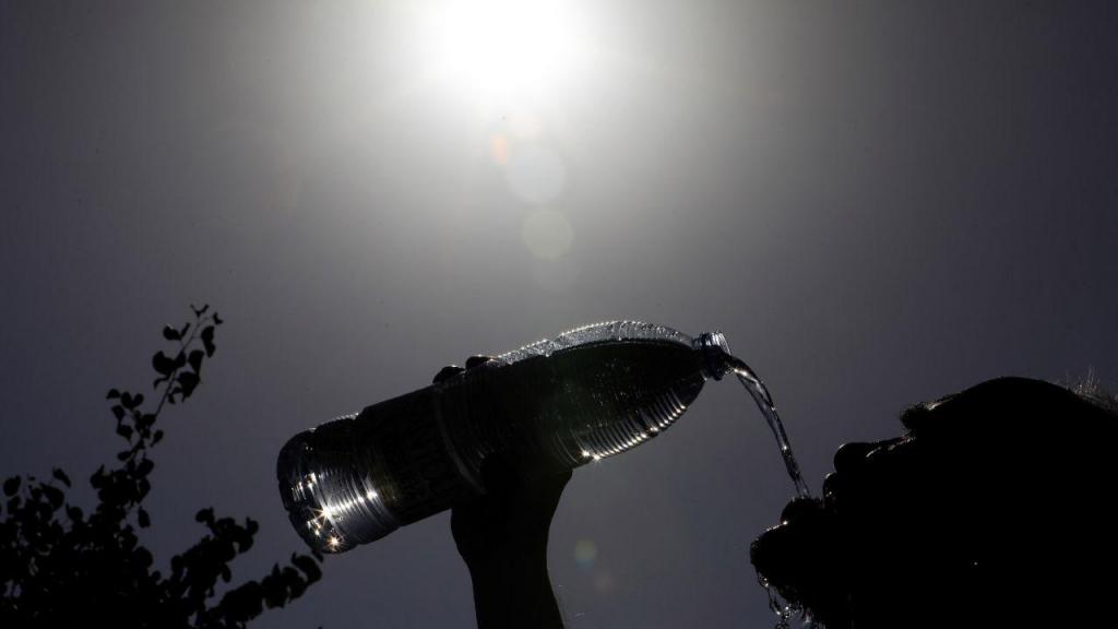 Mais mortes devido ao calor preocupam mas não são novidade