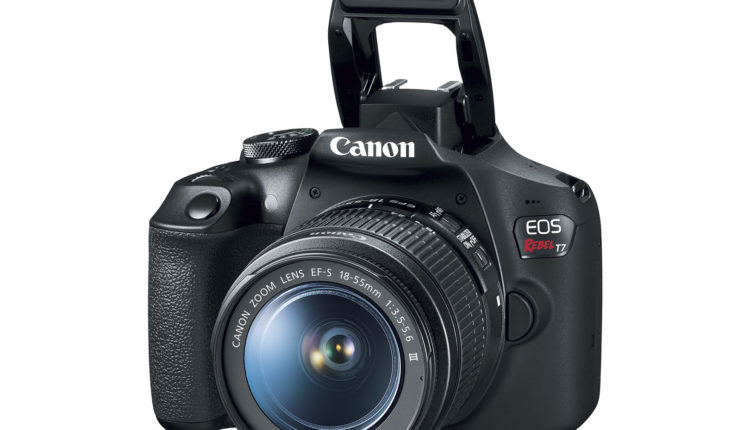 México | La EOS Rebel T7 Es La Cámara Ideal Para Empezar En El Mundo De La Fotografía