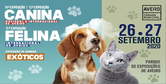 EXPOSIÇÃO CANINA E FELINA EM AVEIRO