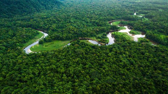Amazônia – realidades e soluções
