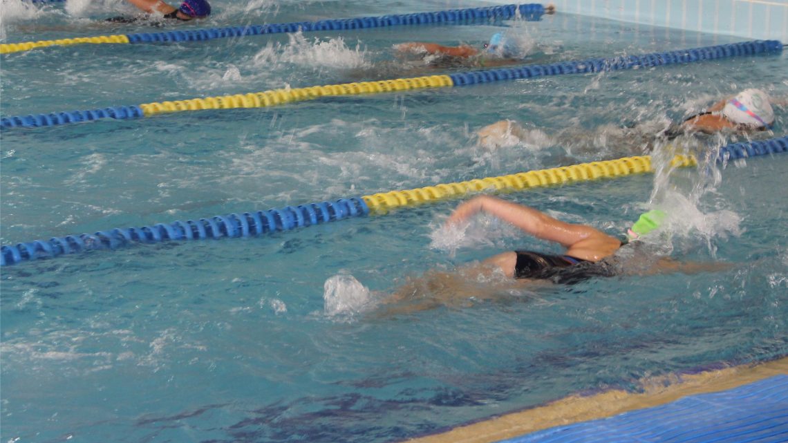 Proença-a-Nova | Aulas de Natação na Piscina Municipal recomeçam em outubro