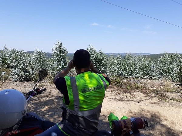 Anadia faz balanço da “Vigilância Móvel da Floresta”