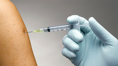 DGS diz que vacina da gripe não chegará para todos devido à elevada procura, mas abrange “maioria” dos grupos de risco