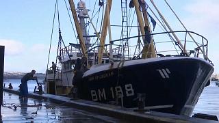 Pescadores britânicos sentem-se traídos pelo Brexit