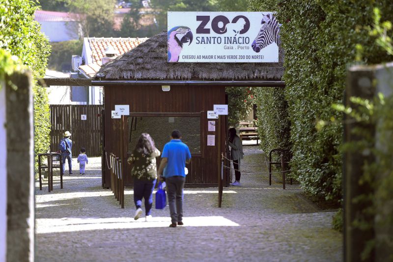 Zoo de Santo Inácio em Gaia ajuda animais a ultrapassar ausência de visitantes