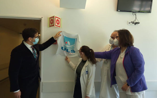 Hospitalização domiciliária