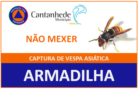 Município de Cantanhede disponibiliza armadilhas de captura de vespas velutina