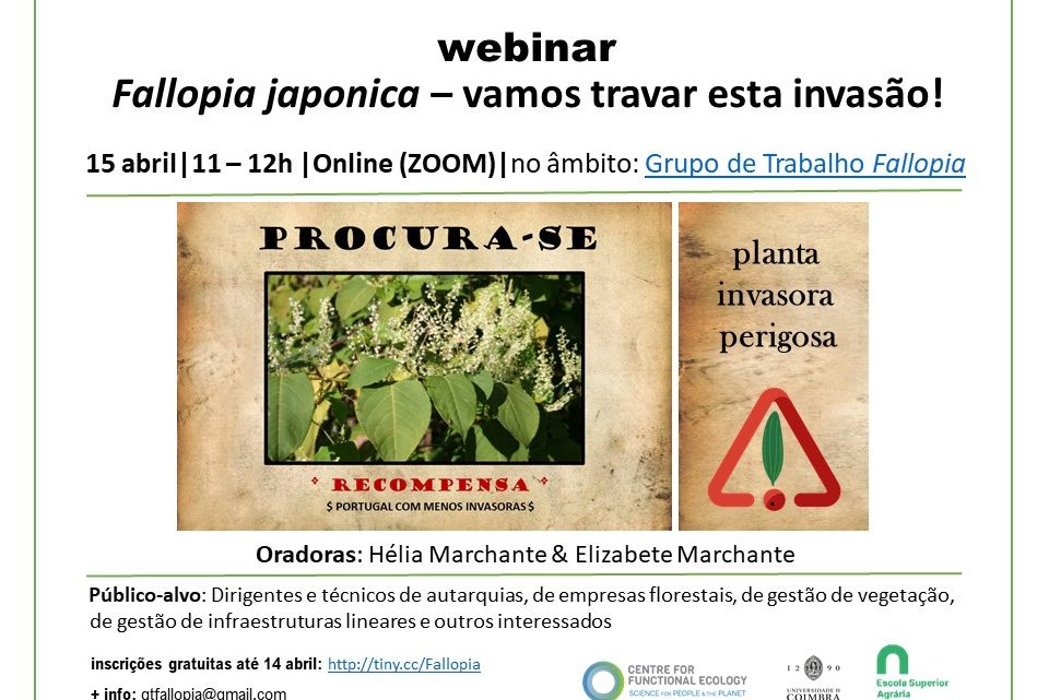Escola Superior Agrária do Politécnico de Coimbra: Invasora Fallopia japonica é tema de webinar