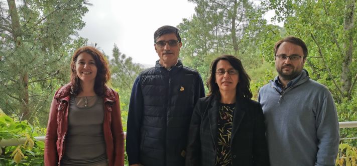 Cientistas criam verniz que mata bactérias em poucos minutos