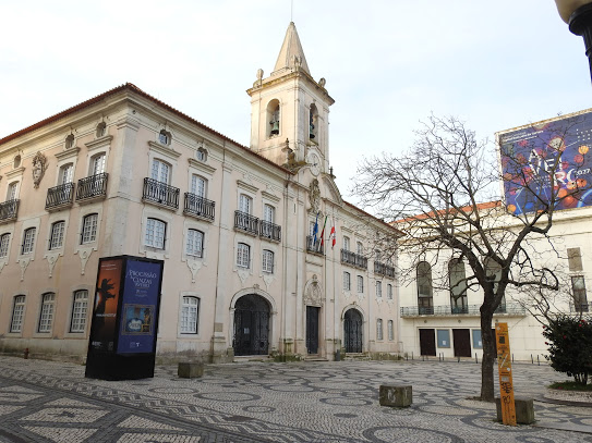 Câmara de Aveiro faz entrega de 25.500 unidades de equipamentos de proteção individual a IPSS e Bombeiros