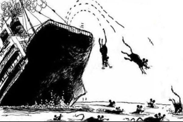 Fim de vida amargo