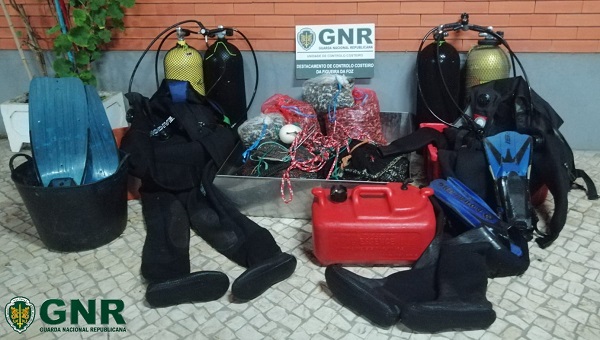 Equipamento de mergulho e 97 quilos de bivalves apreendidos na Gafanha