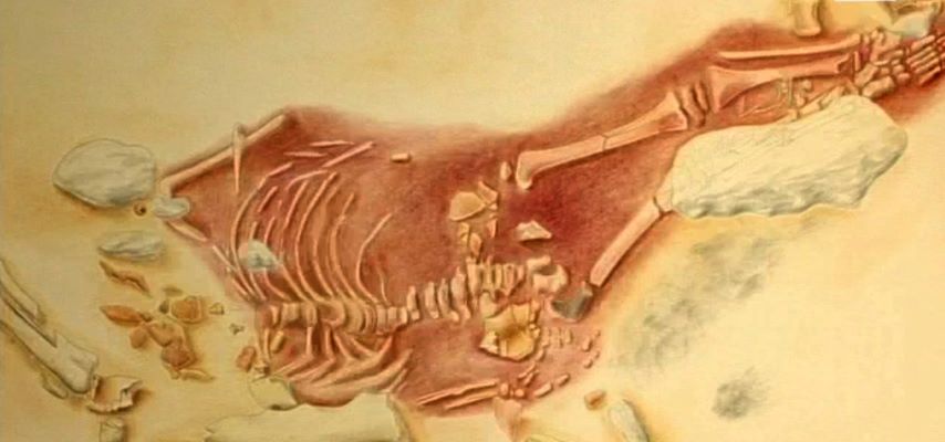 Leiria | Publicado em Diário da República Decreto que classifica como tesouro nacional o esqueleto da Criança do Lapedo e artefactos arqueológicos associados