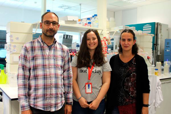 Coimbra | Cientistas descobrem novo mecanismo responsável pela disseminação da infeção pela bactéria Salmonella