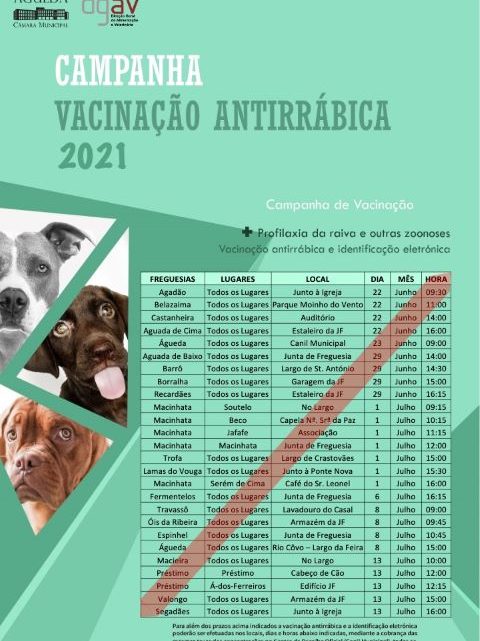 Águeda | Campanha anual de vacinação antirrábica arranca amanhã