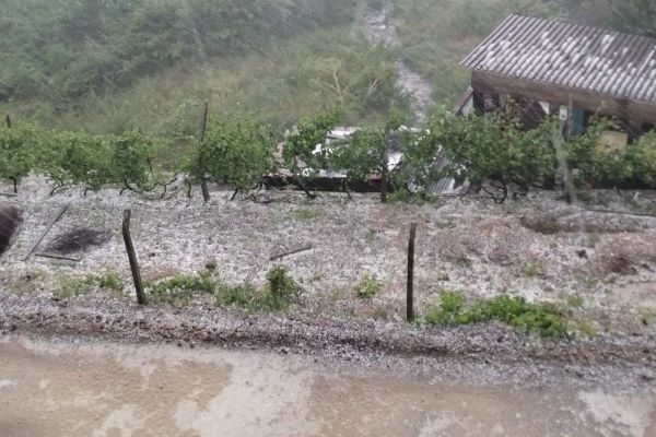 Chuva intensa e granizo causam inundações e quedas de árvores em Vila Real