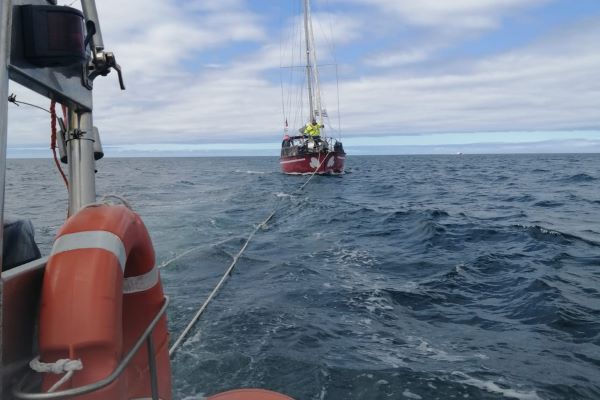 Veleiro com quatro tripulantes fica sem leme após interação com orcas em Sesimbra