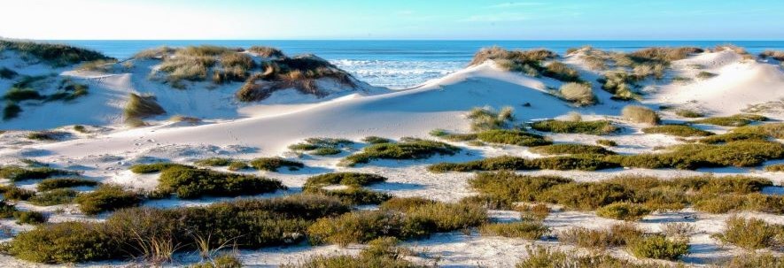 Pombal assegura vigilância na Praia do Osso da Baleia