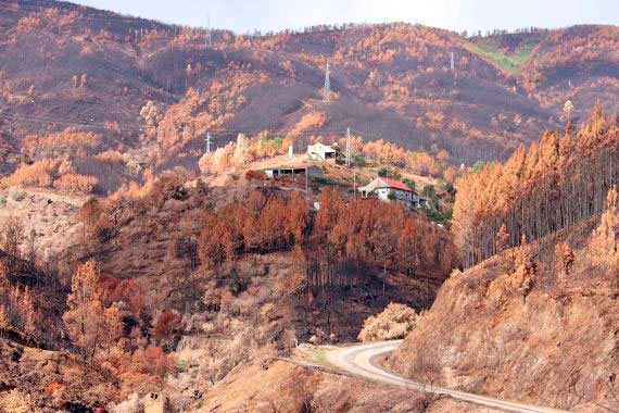 Município apoiou proprietários afetados pelos incêndios de 2020