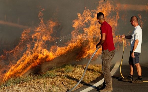 Fogo do Algarve obrigou a retirar de casa 81 pessoas e a evacuar canil
