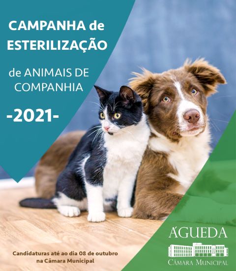 Câmara de Águeda apoia esterilização de animais de companhia