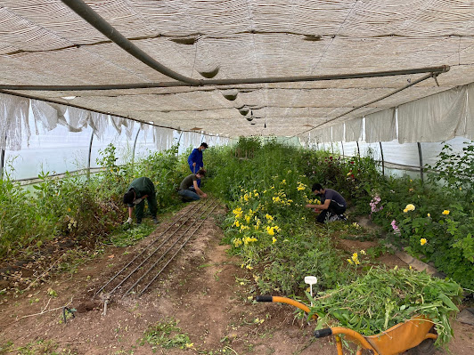 “TÁ NA HORTA” REALIZA WORKSHOPS DE IMPLEMENTAÇÃO DE HORTAS E JARDIM DE AROMÁTICAS EM OUTUBRO