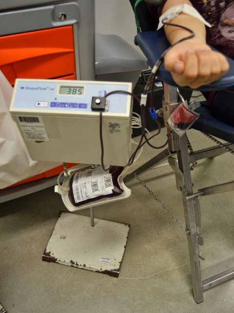 Todos os partidos concordam em fechar de vez a porta à discriminação na doação de sangue