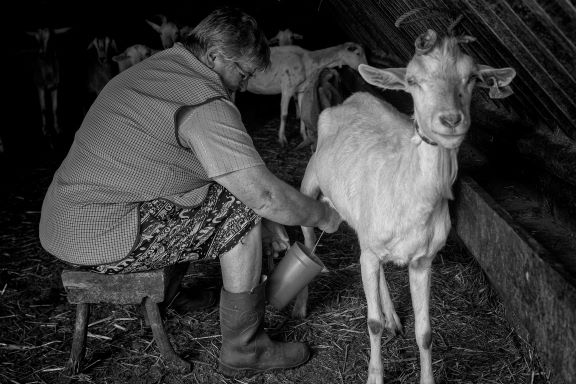 Resultados do Concurso de Fotografia “Olhar Ansião Coração de Sicó”