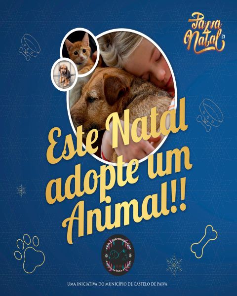 Neste Natal ganhe um novo amigo: CAMPANHA DE ADOPÇÃO ANIMAL NO CANIL DE CASTELO DE PAIVA