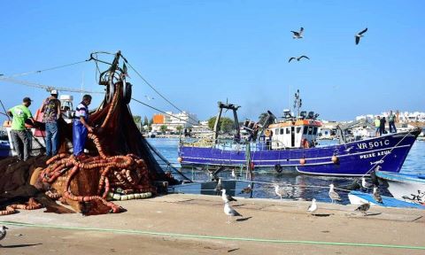 Corpo de homem encontrado a boiar no porto de pesca de Olhão