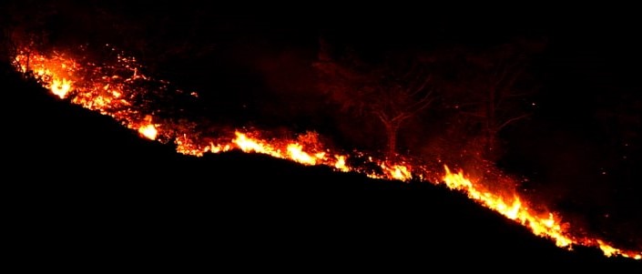 AMBIENTE: Próxima época de incêndios vai depender da chuva que caia até maio