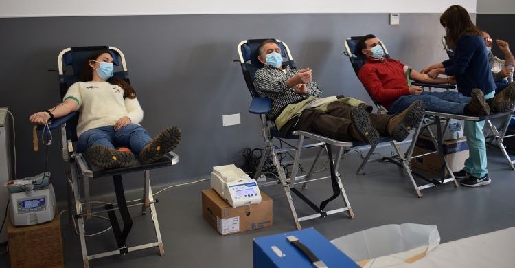 Portalegre | Colheita de sangue em Alpalhão