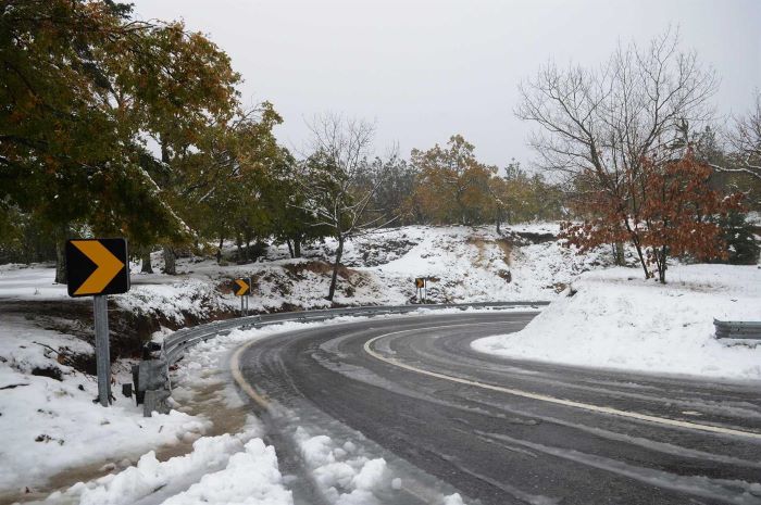 Queda de neve obriga a fechar estradas de acesso à Serra da Estrela