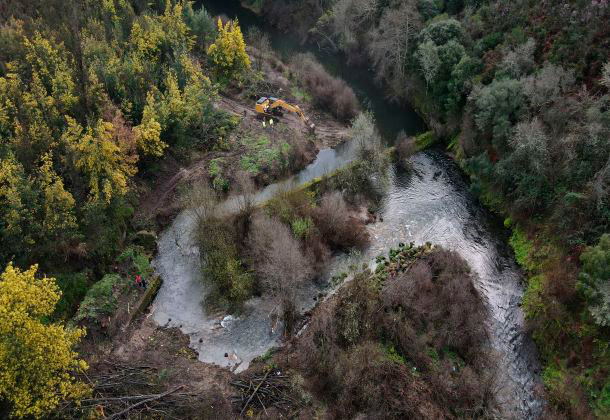 Projeto LIFE Águeda implementa medidas de conservação ambiental para estimular migração de peixes nos rios Águeda e Alfusqueiro