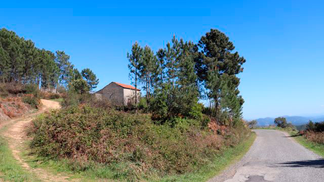 Proença-a-Nova | GNR deteta 24 situações de incumprimento à gestão de combustível nas aldeias do concelho