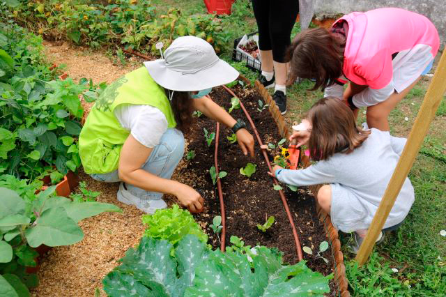 Aveiro | Celebrar o Dia da Terra com atividades para famílias