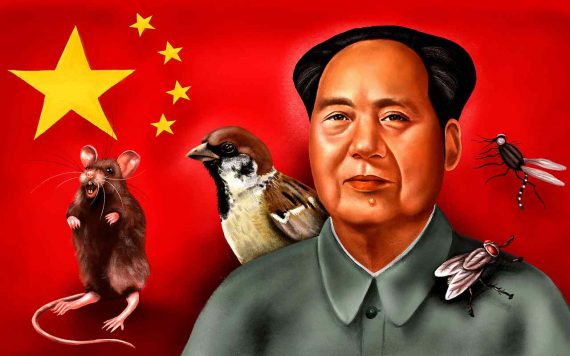 Delírio comunista contra os pardais matou milhões de chineses pela fome e devastou a ecologia