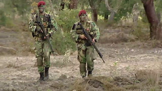 Tropa de elite portuguesa preparada em tempo recorde parte para a Roménia