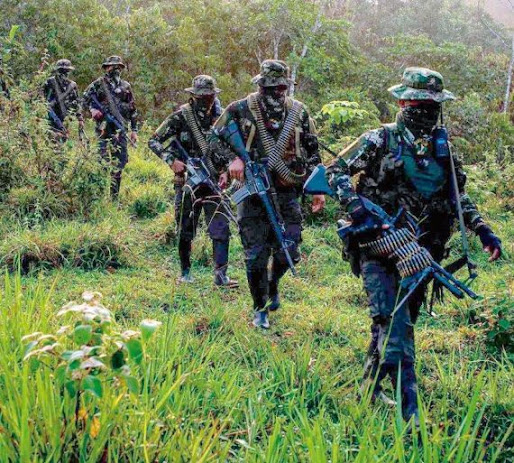 Narcoguerrilhas renascem na Colômbia