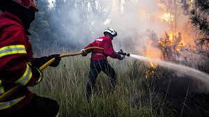 Nove meios aéreos e mais de 120 operacionais combatem fogo em Castelo Branco