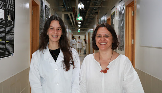 Equipa da Universidade de Coimbra desenvolve aerogel inovador para aplicação médico-farmacêutica