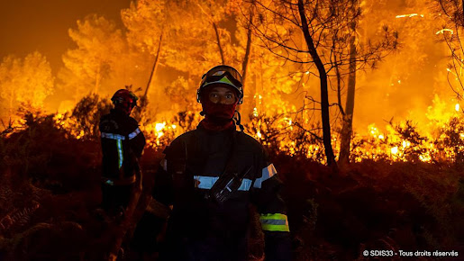 MUNDO | Incêndios e seca assolam Europa. Seca atinge 60% do território da UE e Reino Unido