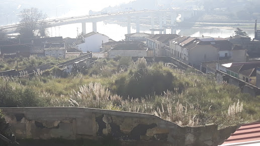 20 e 21 de setembro | Santander, Espanha Seminário técnico marca o encerramento do Projeto LIFE STOP Cortaderia
