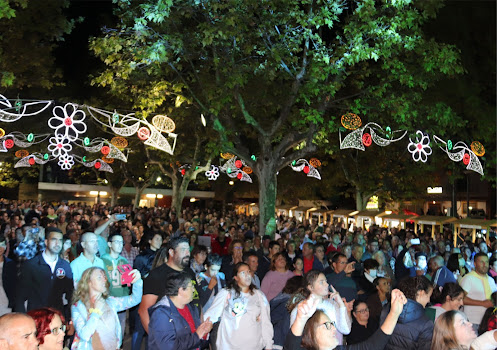 Proença-a-Nova | Festival do Plangaio e do Maranho termina com balanço positivo